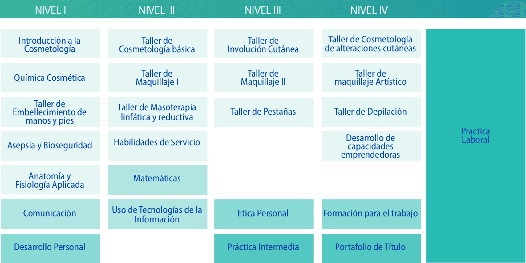 NUEVA Técnico en Cosmetología y Estética Integral – CFT San Agustín