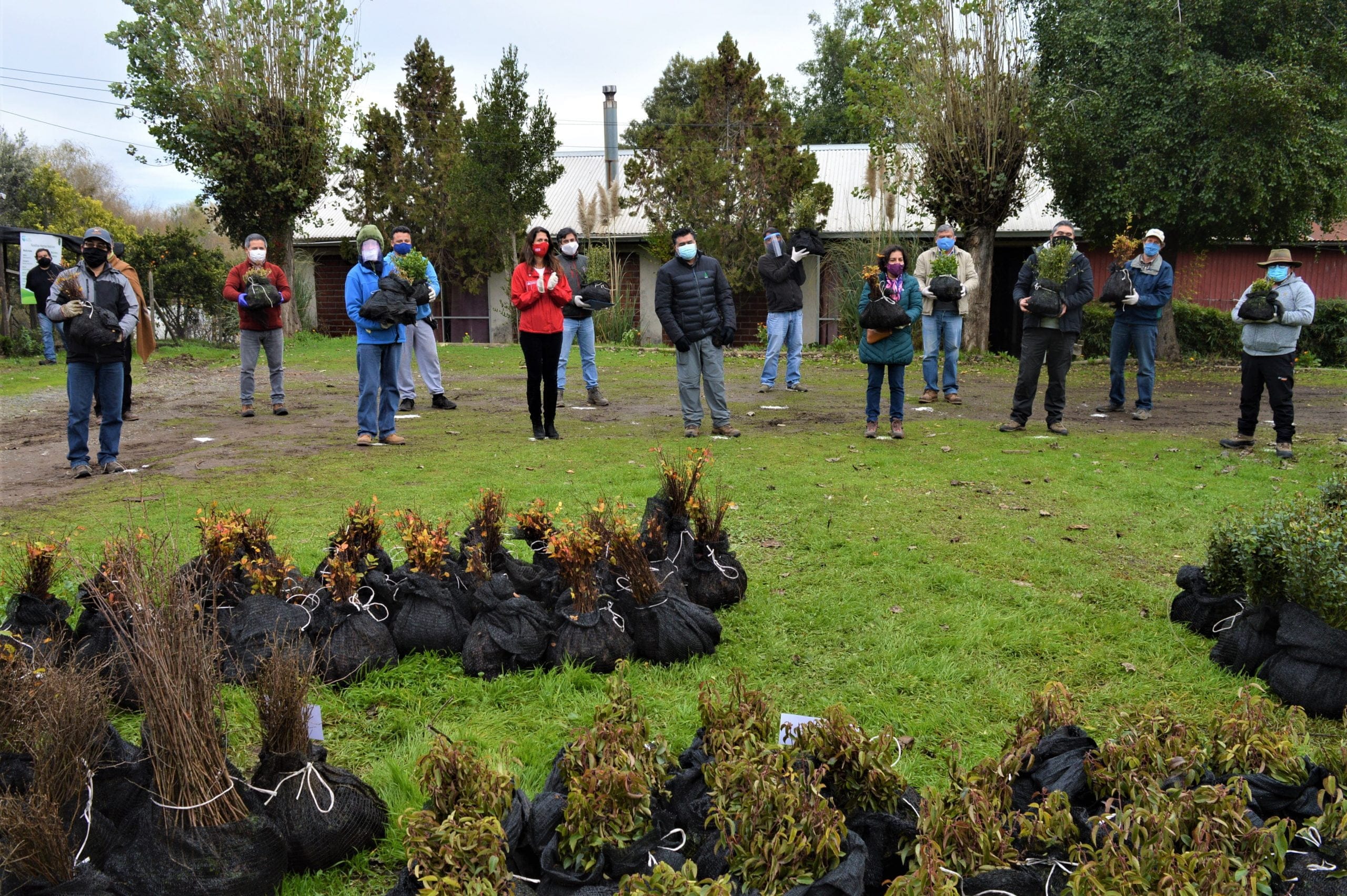 donación de árboles nativos a integrantes de la mesa apicola del maule